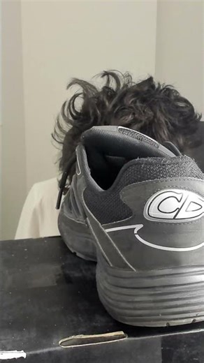 STEAL A BRAINROT GIVEAWAY LIVE | STEAL A BRAINROT FREE SECRETS + FREE BRAINROT GODS