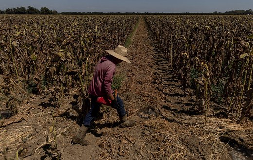 Analysis: Latest IPCC report confirms climate change is worsening, but we have the tools to combat it