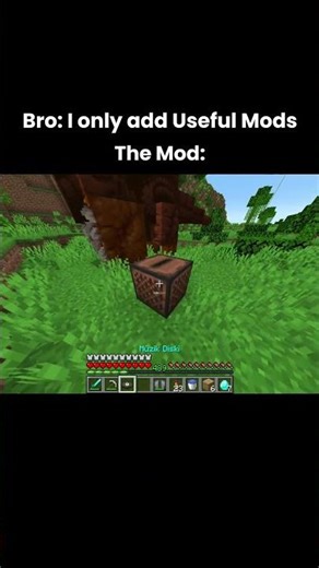 Ah, buddy, I only told you to add useful mods #minecraft