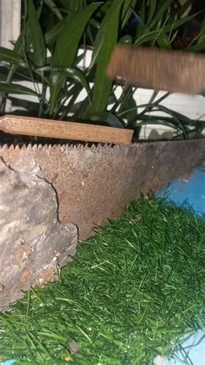 “Don’t Throw It Away! Restore a Dull Saw to Perfect Sharpness”