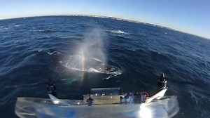 398 reactions · 70 shares | Watch as a team of researchers led by...