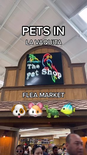 Come visit our new and improved pet area! Featuring over 10 different types of animals, you’re guaranteed to find your perfect friend! #pets #GA