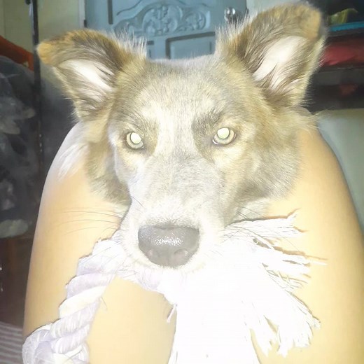 395K views · 3.3K reactions | Cute ni Maya | Team Mama & Maya | Facebook