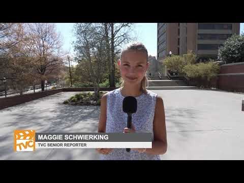 Rise in scam text messages prompts warning from experts