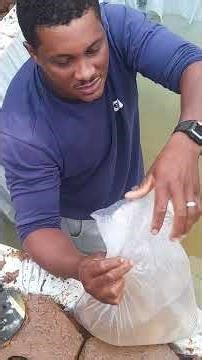 23 de janeiro de 2026