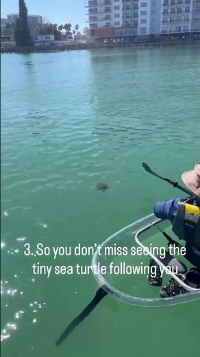 Discover the hidden gems of Clearwater, FL in a 100% clear kayak with top-notch tour guides! 💦