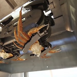 26M views · 2.8K reactions | This is the fastest way to shell crabs 呂 Via In The Know: Foodie | AOL | Facebook