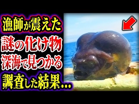 【ゆっくり解説】漁師が恐怖...!! ロシアの深海でエイリアン見つかる...不気味すぎるヤバい怪魚たち...!!【深海生物】