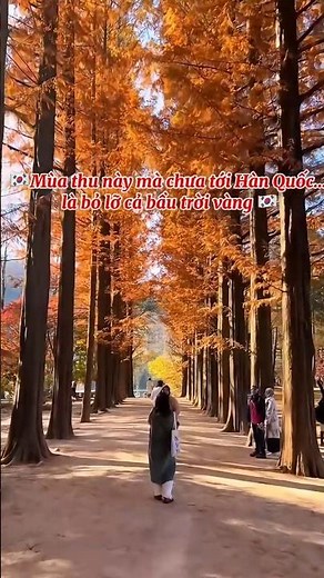 Khám Phá Mùa Thu Hàn Quốc – Cảnh Sắc Tuyệt Đẹp và Trải Nghiệm Đầy Lôi Cuốn 🍁