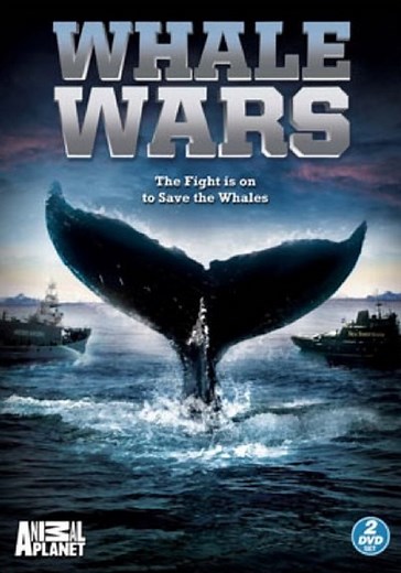 Whale Wars Season 1 - watch full episodes streaming online