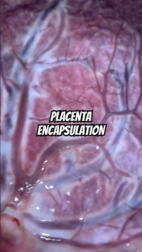 Placenta Encapsulation Process Tutorial #pregnancy #postpartum #viral