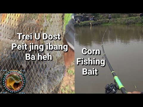 Bhoi Nongrah Fishing Pond Peit ki Dohkha size baheh² Khyrwait u Corn mynta ka sngi 04/04/26🐟🐟