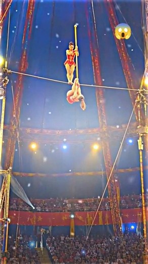 Incredible Circus Acrobatics! 😱 A Jaw-Dropping High-Wire Stunt You Have to See! 🎪