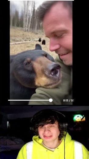 "Patrick Conley builds trust with a family of wild black bears. The mother brings her babies .."