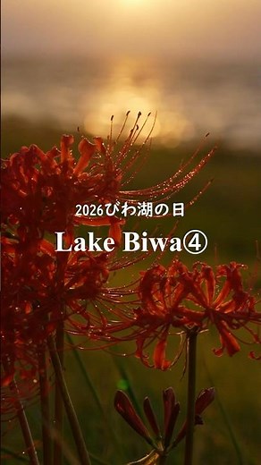 Lake Biwa Day④＜7月1日は琵琶湖の日です＞※2025年10～11月撮影まとめ動画#びわ湖の日2026 #びわ活#琵琶湖