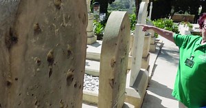 Watch: Stories of the dead to be told at Mtarfa cemetery