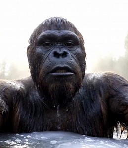 Biggy Foots here working out! #bigfoot #bigfootvlogs #fyp #bigfootisreal