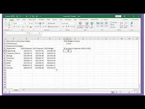 Excel Module 1 Independent Challenge 2
