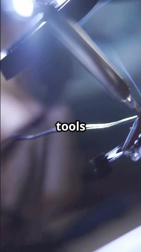 Cognitive Superstars: Tool-Making animals #tiktok