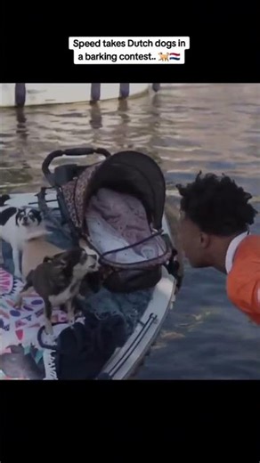 3 Aggressive Puppies vs Speed 🔥 #shorts #dogs