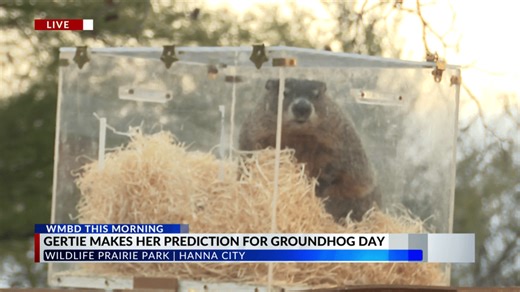 Gertie makes her prediction for the rest of winter. What was it?