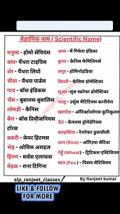 889 reactions · 126 shares | Delhi police, Ssc,RRB Group D Special class-58 Static GK #staticgk #gkquestion #rrbgroupd #rrbntpc #rrbgroupd2025 #ntpc2025 #gkquestioninhindi #rrbexam #gk #ntpcexam #gkquestionanswer #gkquestionsandanswers #NTPC #viralpost #competitiveexams #viralreels #math #mathtricks #newdelhi | RRB Railway Exam. NTPC, JE, ALP, Group D Study | Facebook