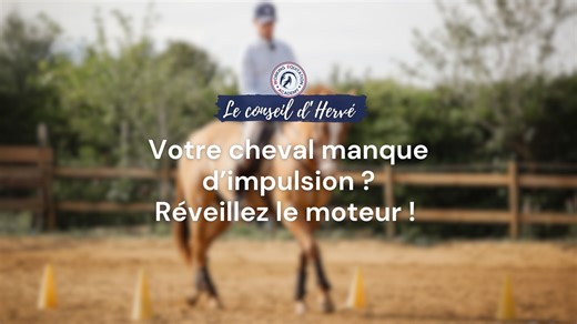 Votre cheval manque d’impulsion ? Arrêtez de pousser… réveillez le moteur 🚀 Vous voyez ce cheval qui avance… mais sans énergie ? Celui qu’il faut relancer à chaque coin de carrière… Dans cette séance de questions/réponses en live avec les élèves de Working Equitation Academy, Hervé Maurel vous propose des exercices concrets et progressifs pour redonner du pep’s à votre cheval – sans forcer, sans braquer. 🔹 Votre cheval a une impulsion “moyenne” ? Parfait, vous avez déjà une base sur laquelle j