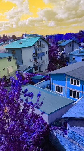 Exploring Morioh Town: A Jojo's Bizarre Adventure Experience