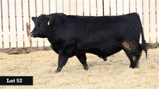 Lot 52 - Chapman.mp4