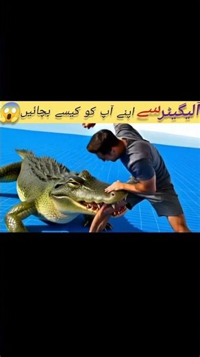 ALLEGATOR SE KESE BACHE |HOW TO|