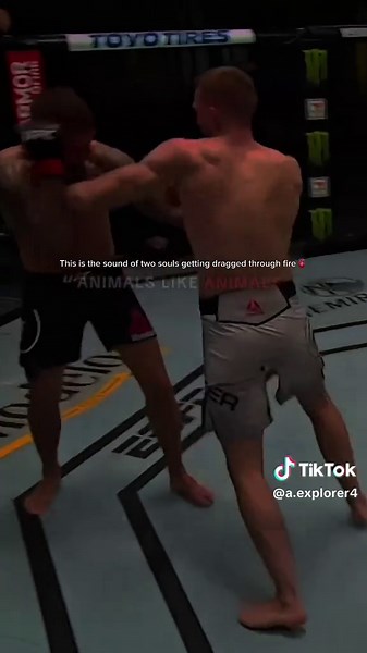 Intense MMA Fight Highlights: Every Second Counts