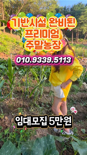 ​[개금주말농장] 시설 완비 부산 가을 텃밭 임대 (2평 5만원) #김해부동산 #대저농지 #서생토지