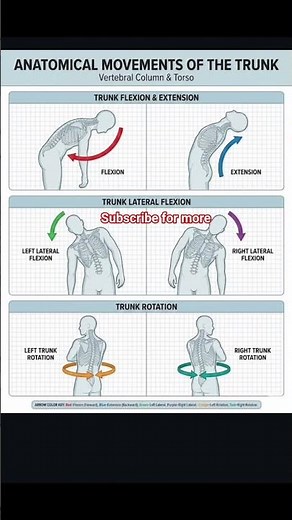 Anatomical Movements of Body Parts Explained | Flexion, Extension, Abduction, Adduction #humanbody