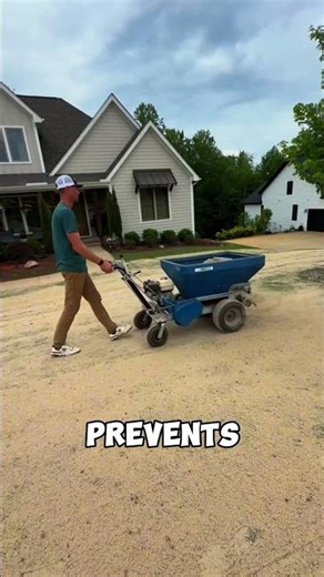 Is Sand a Must for a Perfect Lawn? 🌿#shorts