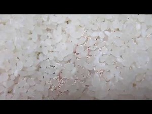 お米に幼虫が湧きました ～おそらくノシメマダラメイガの幼虫～