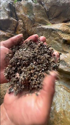 Wow!!! I found a marl hole filled with a huge amount of gold dust.