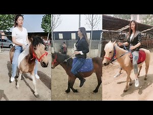 Pony ride in Sanya Racecourse