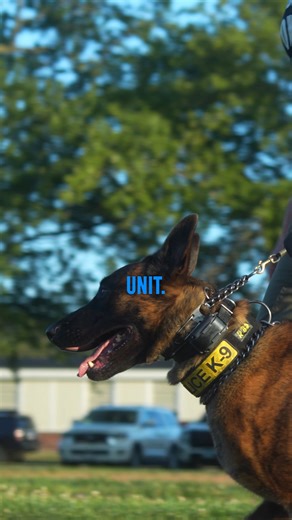 Decatur (IL) Police Department on Instagram: "🚔 NOW HIRING: Your Community Needs You! 🚔 Looking for a career where your actions truly matter? At the Decatur Police Department, you’ll be part of a team dedicated to protecting, serving, and stepping up when your community needs you most. Our officers live by Duty, Pride, and Dedication — and we’re looking for more people ready to carry that mission forward. 🔹 Strong pay & benefits - $76,663.62/ year (as of 1/1/2026) 🔹 Opportunities to grow and