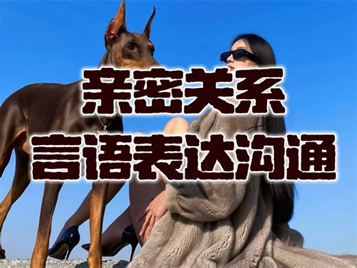 【Dom/讲课回】表达沟通全攻略（上）