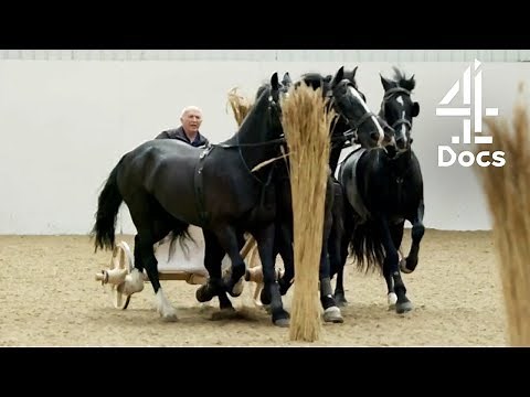 The Brutal Truth Behind Ancient Rome's Chariot Races