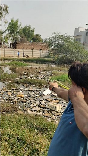 hunting with slingshot Bird 🕊️#nature #birdhunting #slingshot #birds