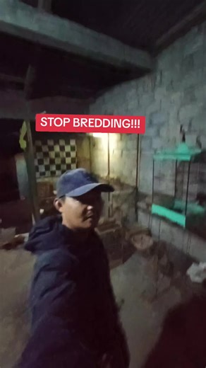 Stop Breeding Canaries Now!