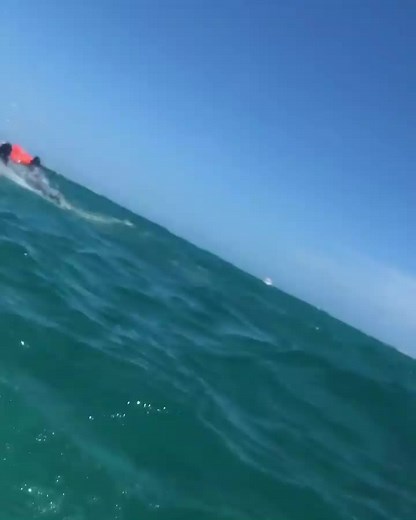 MARY JUNE (@mary_june.1)’s videos with original sound - MARY JUNE