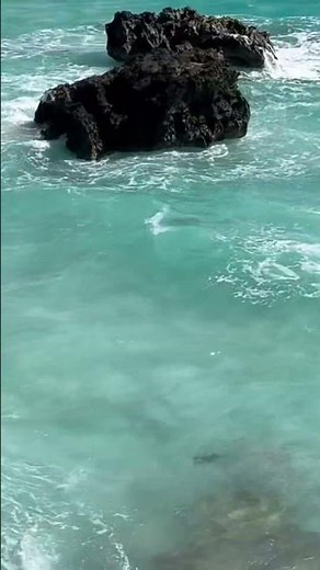 Bermuda (Horseshoe bay)