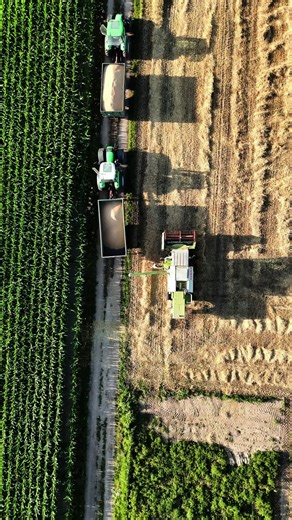 Harvest 2025: Looking Forward to Summer