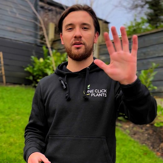 Buy any 5 perennials from our website and get a 6th one free!  Simply add 6 eligible perennials to your basket, and the cheapest one will be free. T&Cs apply. Limited time only.⌛ Rated 'Excellent' on Trustpilot ✅ Pay later with Klarna ✅ FREE delivery for orders over £150 ✅ Fast delivery - 95% of orders arrive within 2 working days ✅ | One Click Plants | Facebook