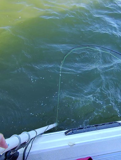 1.6K views · 23 reactions | Yesterday morning, I had David and his family on the boat. This was a make up trip from the spring, when we shortened the trip due to wind. He brought his son, and 2 year old grandson along. We had a decent bite going, and caught fifteen fish in about an hour and a half. His grandson got a little cranky, so we headed in. All fish were released to fight another day. Guide's Choice Punch Bait Bobo's Thumper | North Texas Fishing Guides | Facebook