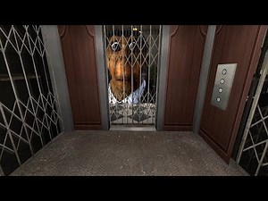 Obunga Obunga Obunga Obunga Obunga