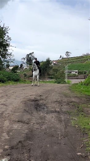 Experience the Culture of Ecuadorian Horsemen