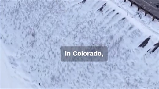 70+ car pileup shuts down Colorado interstate